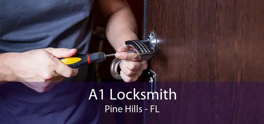 A1 Locksmith Pine Hills - FL