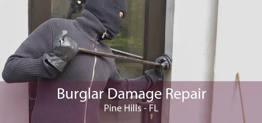 Burglar Damage Repair Pine Hills - FL