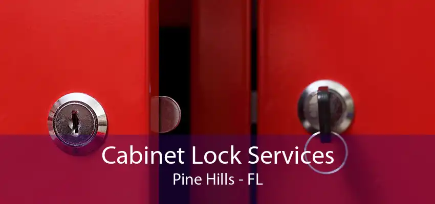 Cabinet Lock Services Pine Hills - FL