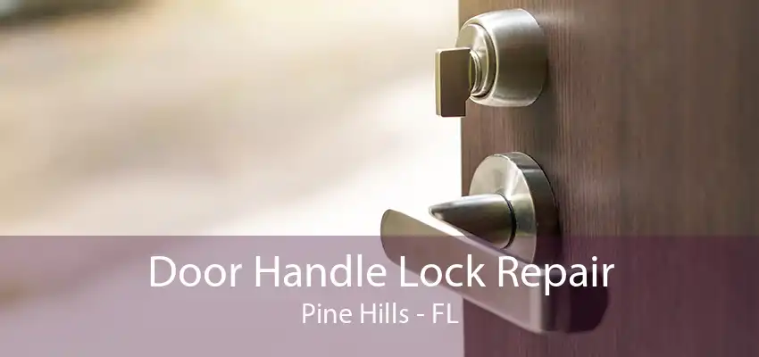 Door Handle Lock Repair Pine Hills - FL