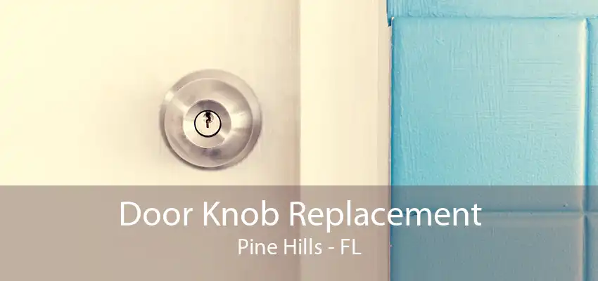 Door Knob Replacement Pine Hills - FL