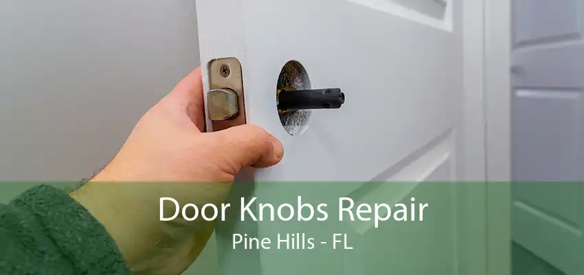 Door Knobs Repair Pine Hills - FL