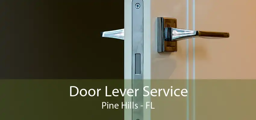 Door Lever Service Pine Hills - FL