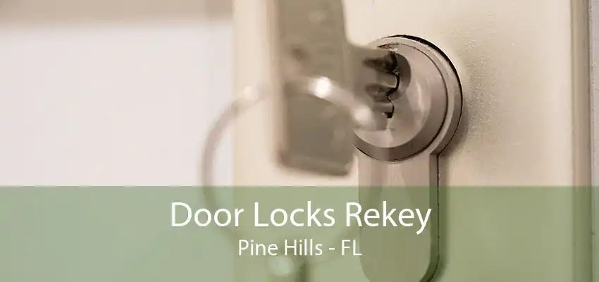 Door Locks Rekey Pine Hills - FL