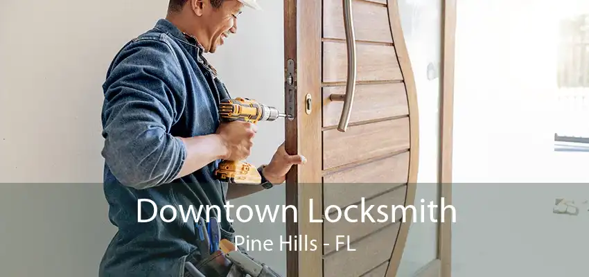 Downtown Locksmith Pine Hills - FL