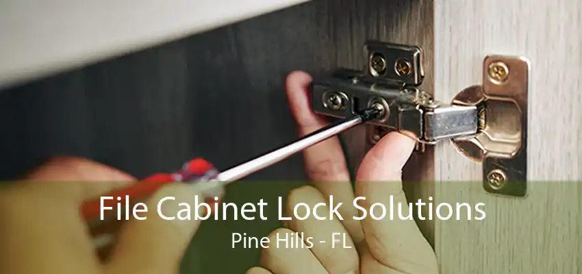 File Cabinet Lock Solutions Pine Hills - FL