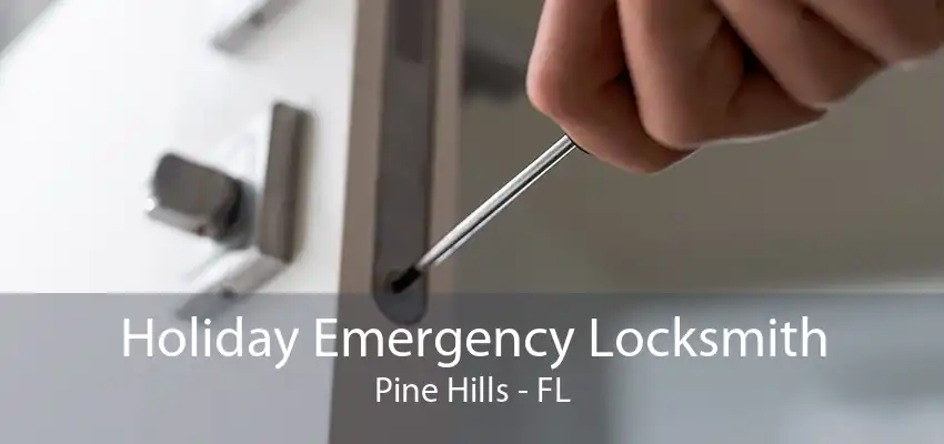 Holiday Emergency Locksmith Pine Hills - FL