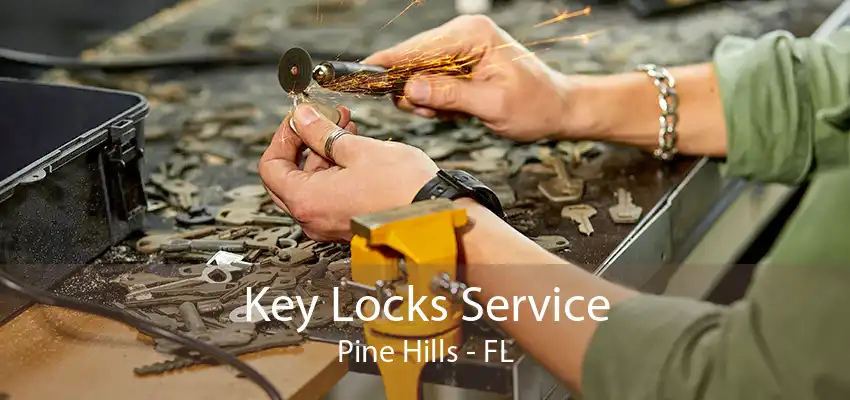 Key Locks Service Pine Hills - FL