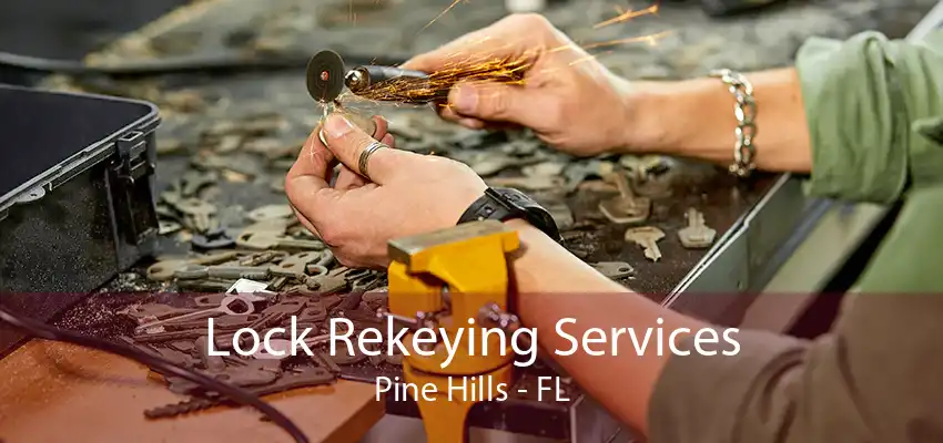 Lock Rekeying Services Pine Hills - FL