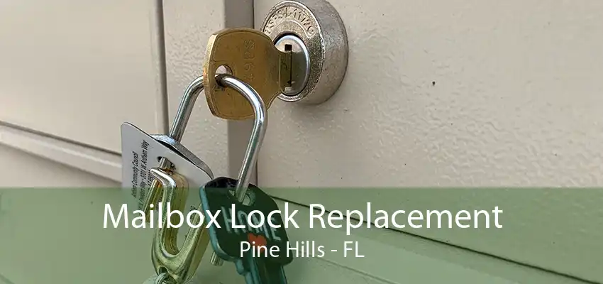 Mailbox Lock Replacement Pine Hills - FL