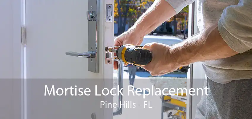 Mortise Lock Replacement Pine Hills - FL