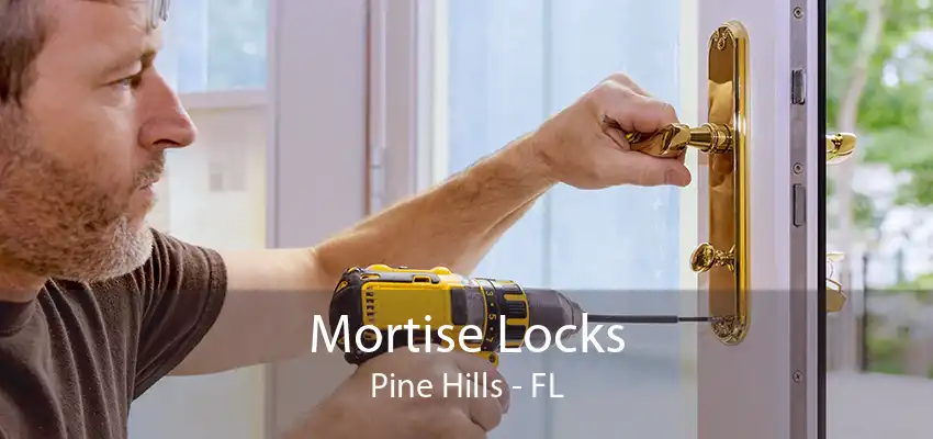 Mortise Locks Pine Hills - FL