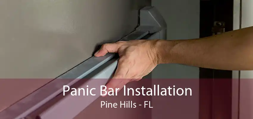 Panic Bar Installation Pine Hills - FL