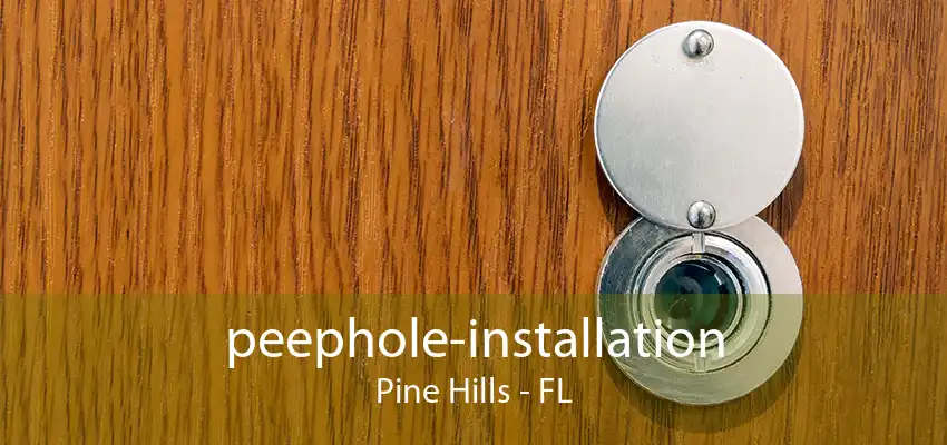 peephole-installation Pine Hills - FL