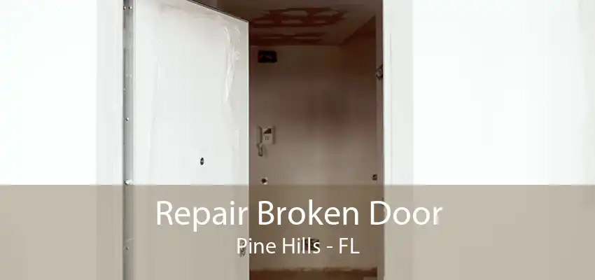 Repair Broken Door Pine Hills - FL