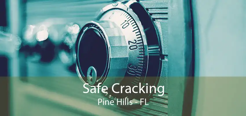 Safe Cracking Pine Hills - FL