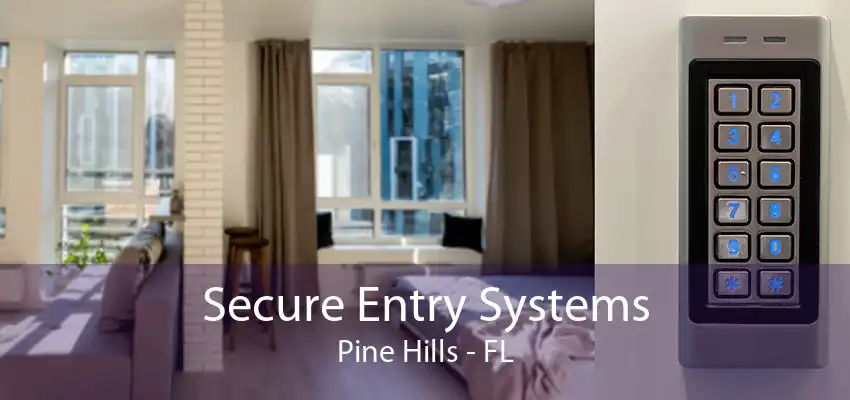 Secure Entry Systems Pine Hills - FL