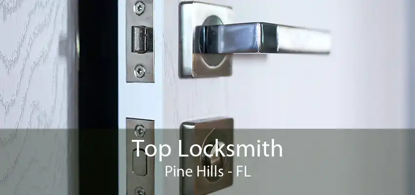 Top Locksmith Pine Hills - FL